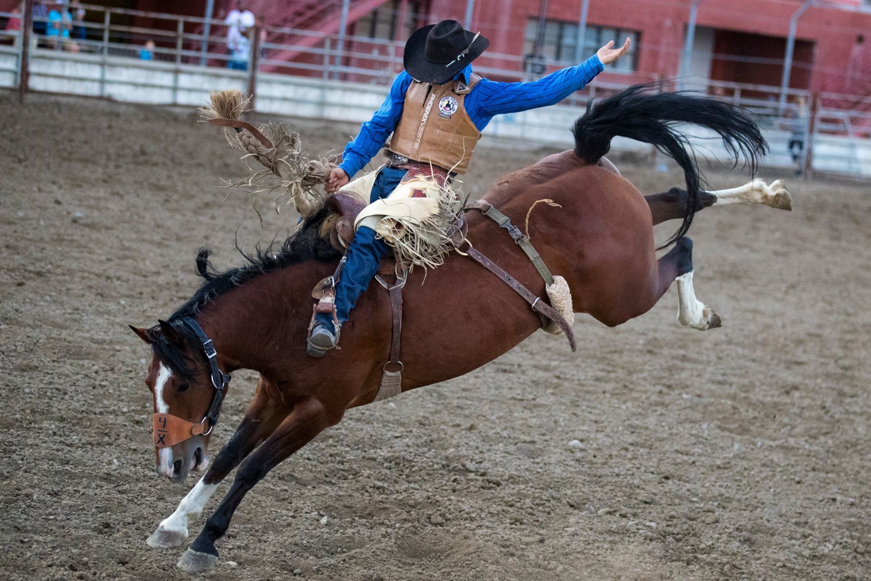 PRCA Yellowstone River Roundup